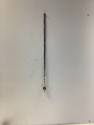 main photo of Whistle silver w/black strap