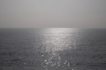 main photo of Ocean 06