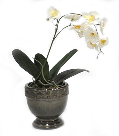 main photo of Faux Orchid