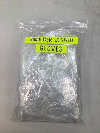 main photo of Shoulder Length Gloves