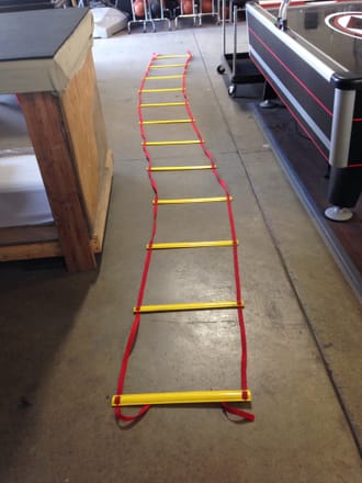main photo of Quick Step Agility Ladder
