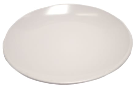 main photo of Dinner Plate, plastic, simple