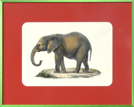 main photo of Cleared Print, Elephant