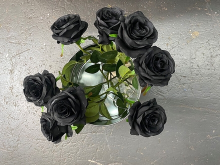main photo of Black Roses