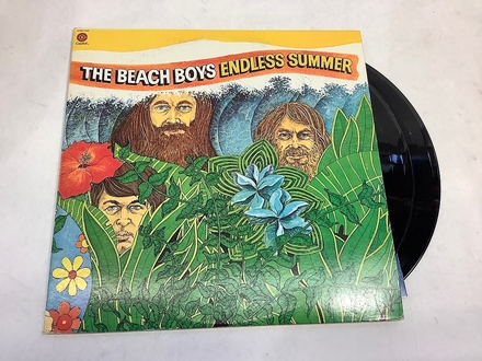 main photo of Beach Boys Record