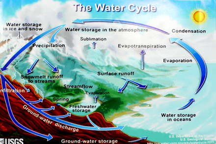 main photo of Unframed Cleared Poster; Water Cycle