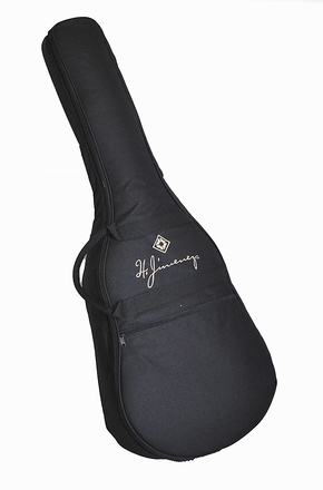 main photo of Guitar case