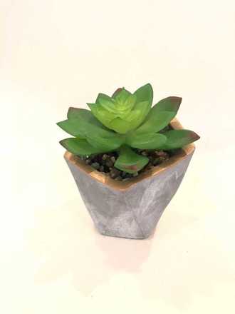 main photo of Faux Potted Succulent