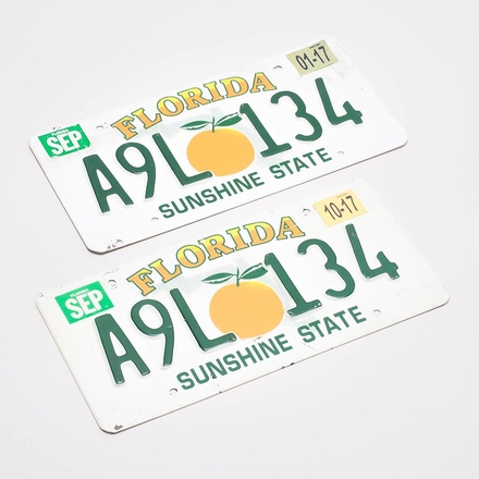 main photo of Florida Licence Plates (Pair, Plastic Raised) - A9L 134