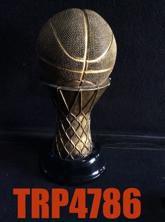 main photo of Basketball going into Net Trophy