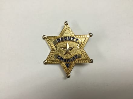 main photo of Badge ~ Gold Deputy Sheriff