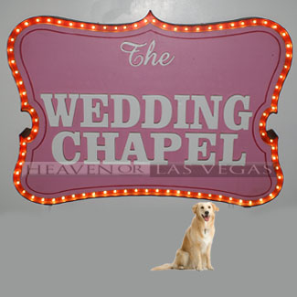 main photo of WEDDING CHAPEL #01