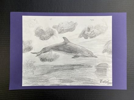 main photo of Dolphin Teen Drawing