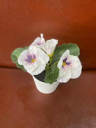 main photo of Mini White Flowers