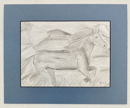main photo of Horse Teen Drawing Matted 33