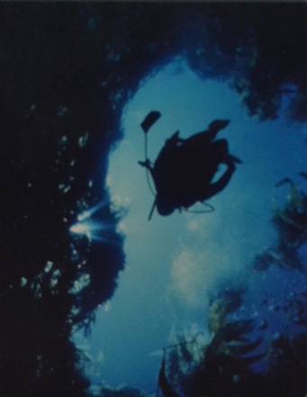 main photo of Underwater Scuba Diver Photo