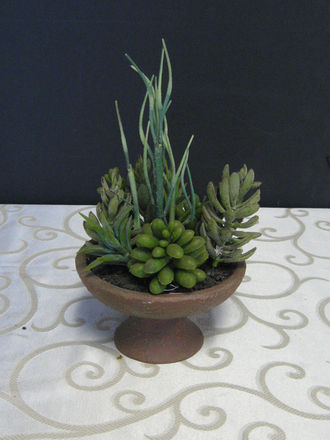 main photo of Succulents in Footed  Dish