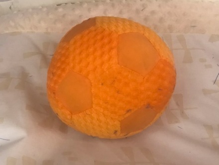 main photo of Orange Fabric Ball