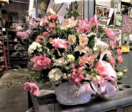 main photo of Fresh Floral Garden style hopital arrangement