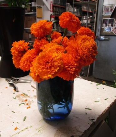 main photo of Fresh Floral Medium Marigold Arrangement