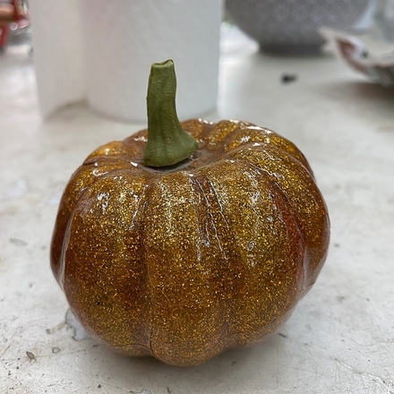 main photo of Mini Pumpkin
