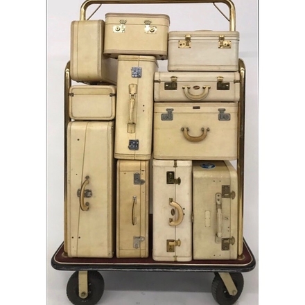 main photo of Vellum Suitcases