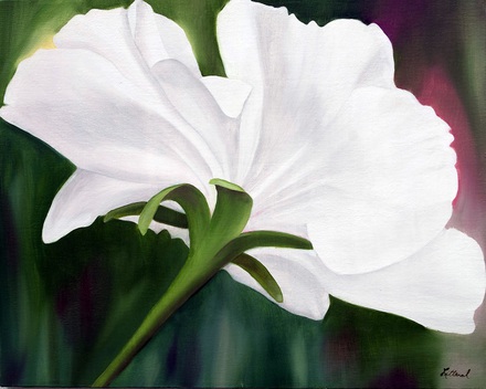 main photo of White Flower Floral