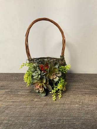 main photo of Succulent Flower Girl Baskets