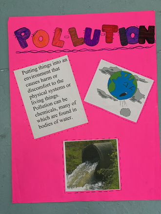 main photo of Pollution Poster