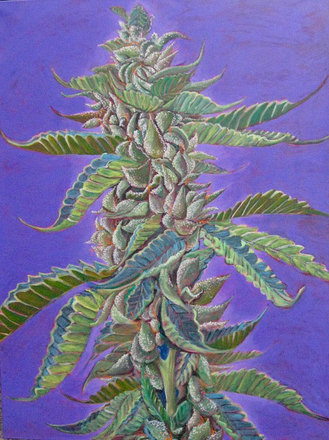 main photo of Cannabis Bud Painting