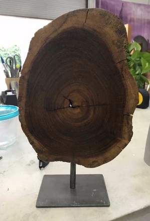 main photo of Tree Cutaway Sculpture