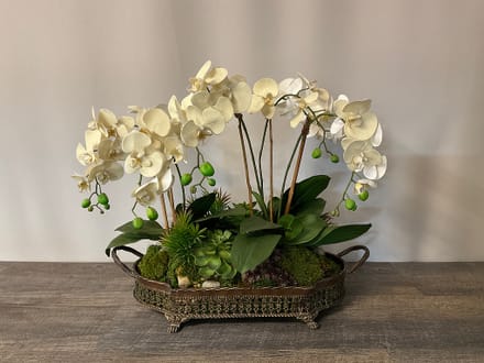 main photo of Orchid and Succulent Footed Tray A