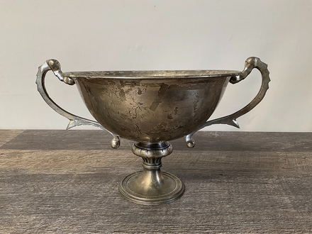 main photo of Silver Trophy Bowl