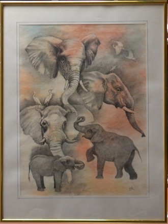 main photo of African Elephants