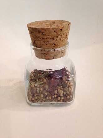 Spice Jar main photo of Spice Jar