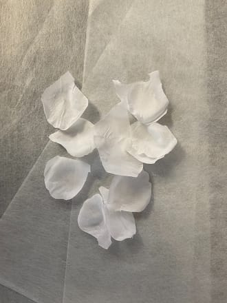 main photo of White Silk Petals