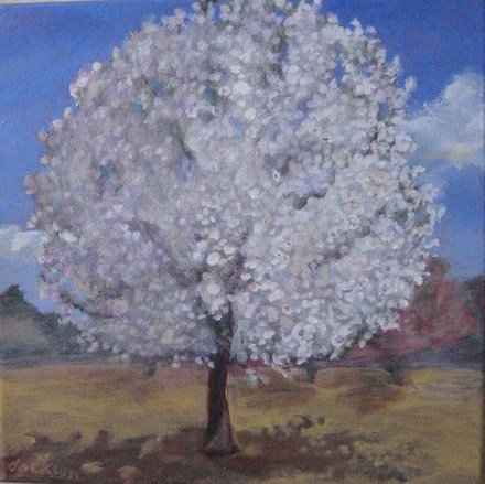 main photo of Blooming Tree