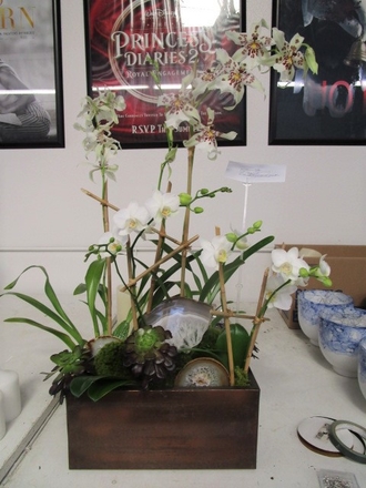 main photo of Fresh Floral White Orchid Mix Planter