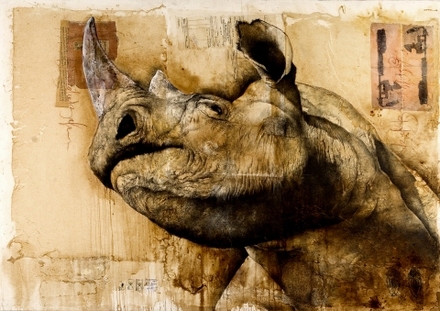 main photo of SUAALI-Goliath Rhino DF