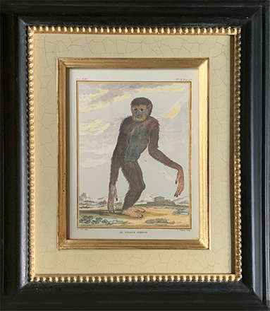 main photo of MISART-Le Grand Gibbon