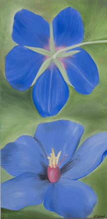 main photo of Blue Flower Floral