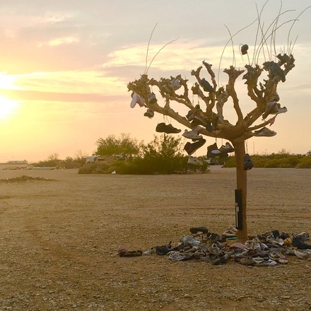 main photo of Shoes Hang in Tree Landscape