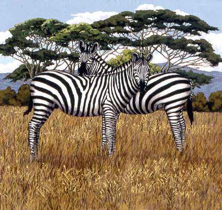main photo of Two Zebras