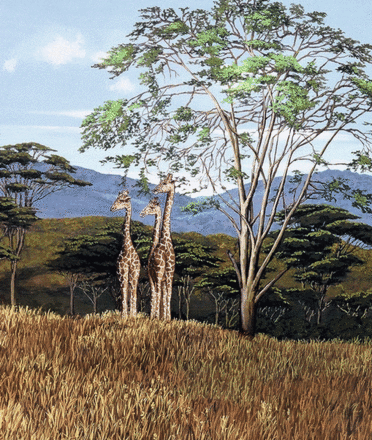 main photo of African Safari Giraffes