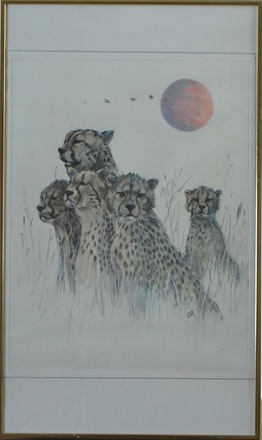 main photo of Black and White Cheetahs with Red Sun