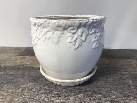 main photo of White Ceramic Ivy League Jardinière