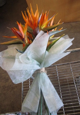 main photo of Fresh Floral Birds of Paradise Bouquet