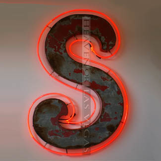 main photo of LETTER "S" #01