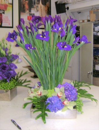 main photo of Fresh Floral Iris Monet