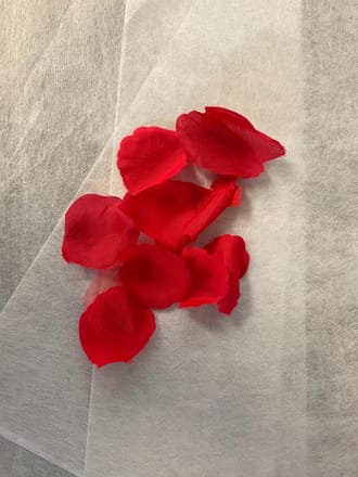 main photo of Red Silk Petals